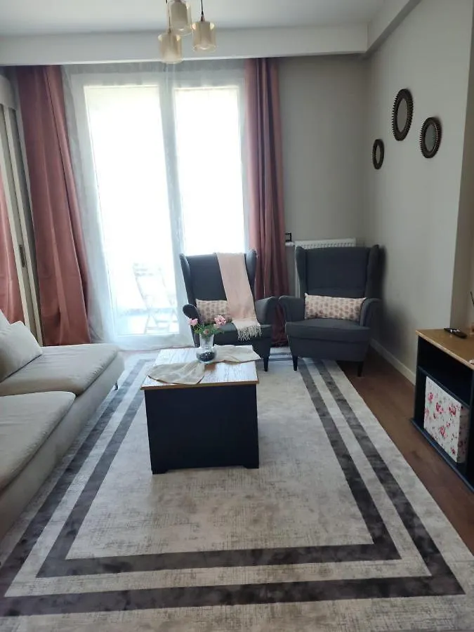 Toya Next 4 Apartment Istanbul 0*,